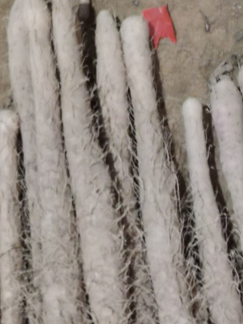 铁棍山药，条型漂亮面积大，货源充足，找大客户