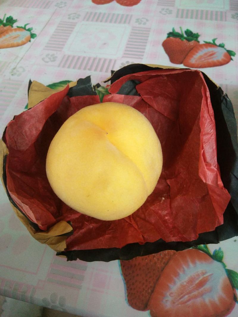 新品种嫁接鲜食黄桃苗新黄金蜜一号早熟黄桃基地直销售