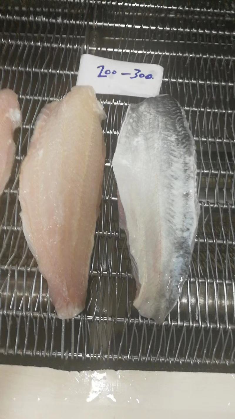 越南巴沙鱼柳。。。。。。。。。。。。。。。。。
