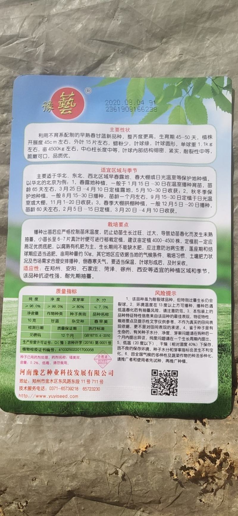 进口甘蓝种子，圆包菜种子，可大面积种植！基地专用