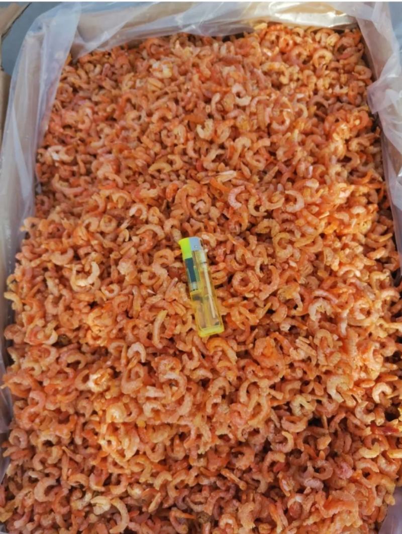 金钩海米，自家加工的，质量非常好，大量批发，有咸度