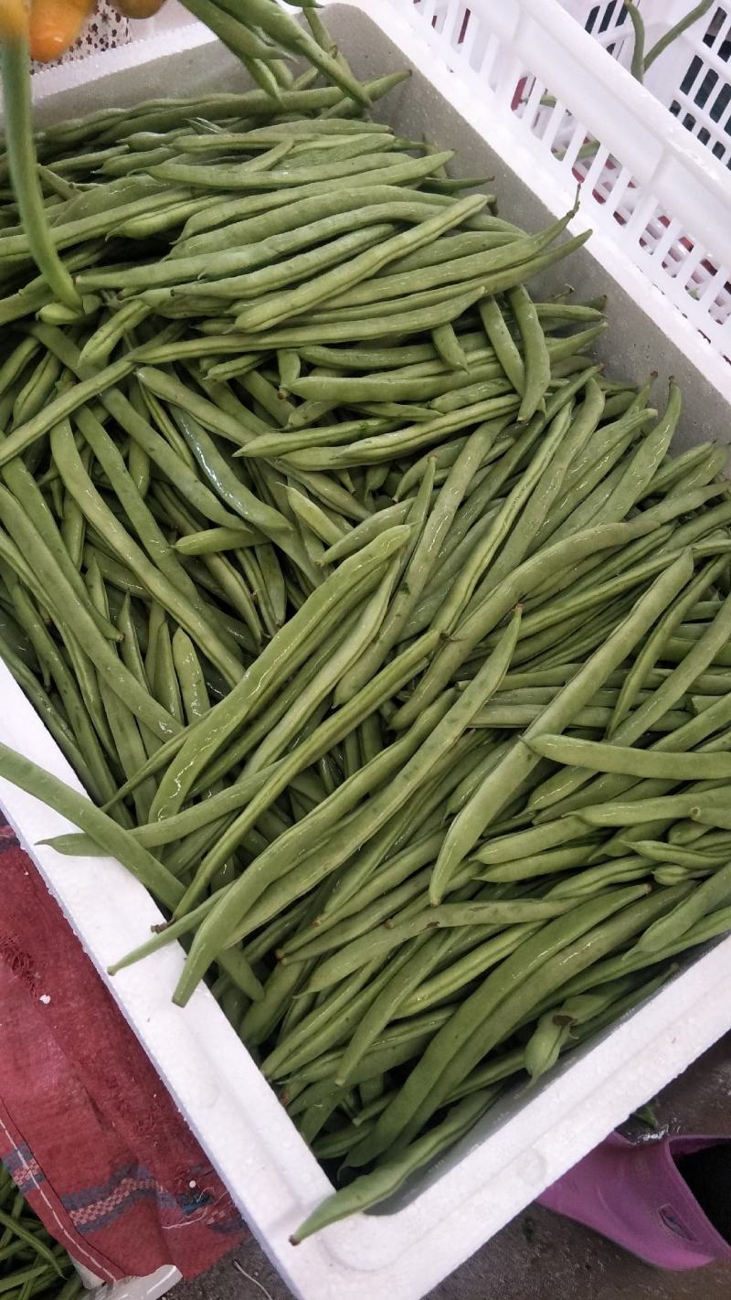 元谋蔬菜豆角