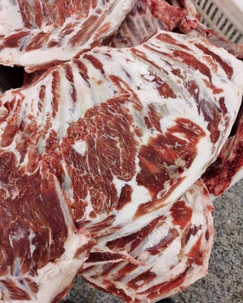 清真羊排羊光排质量有保证烧烤炖食材手续齐全