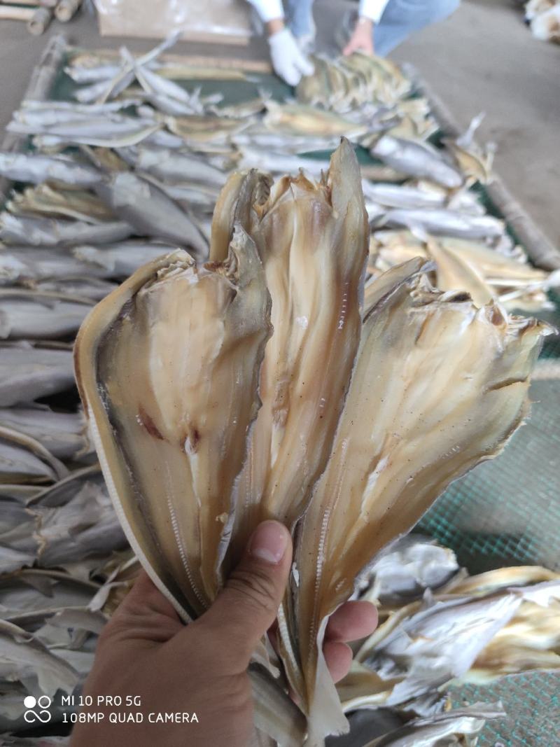 北部湾特产去头鲨鱼片鲨鱼片小鱼干小鲨鱼鱼干货淡晒鲨鱼片