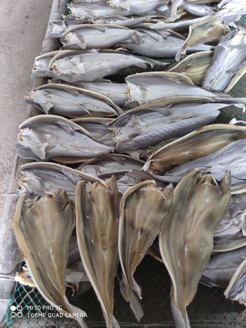 北部湾特产去头鲨鱼片鲨鱼片小鱼干小鲨鱼鱼干货淡晒鲨鱼片