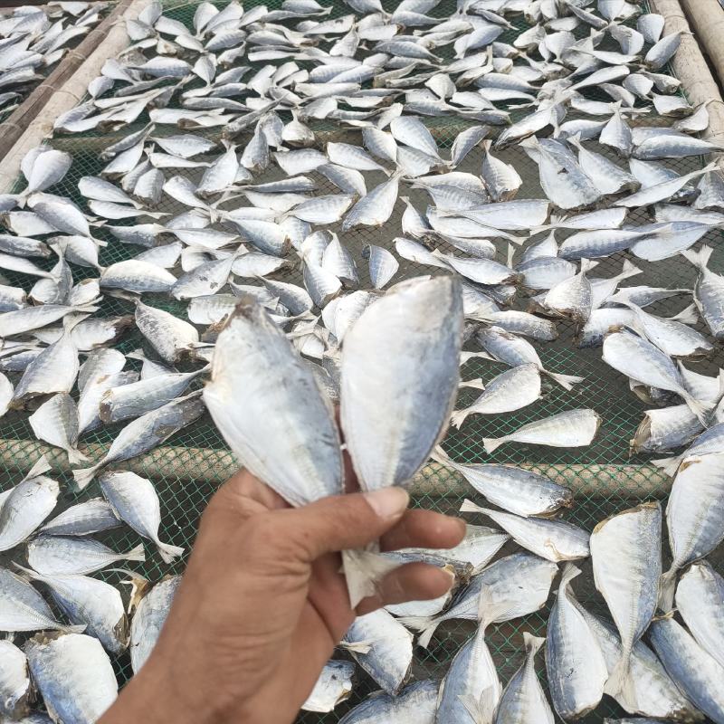 【热卖】黄尾鱼干咸鱼干水产干货小鱼干