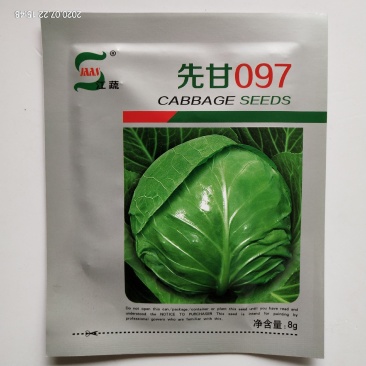 甘蓝夏季耐热夏圣大田专用品种种子基地专用品种