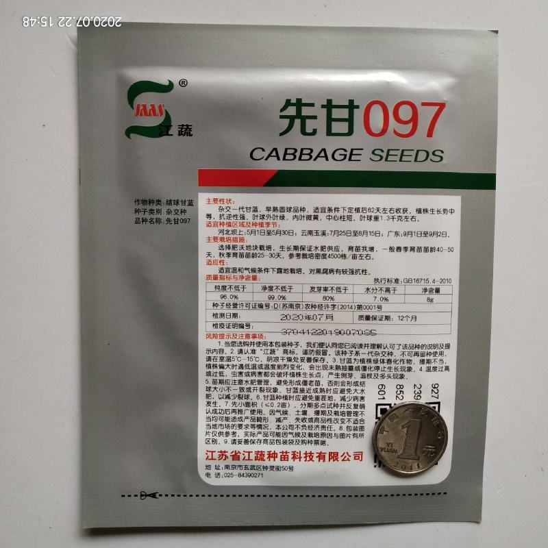 甘蓝夏季耐热夏圣大田专用品种种子基地专用品种