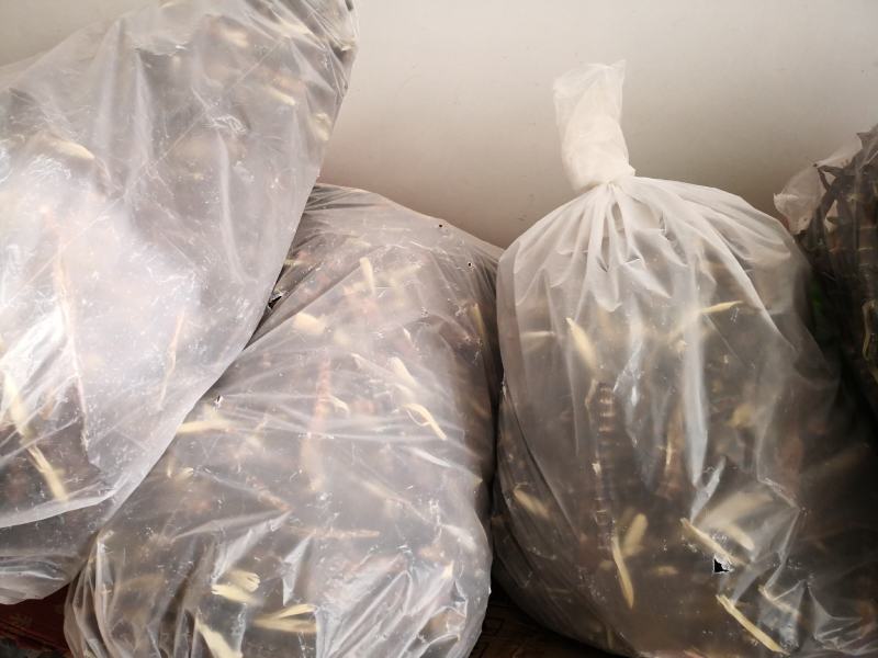 野生小竹笋笋干，刺竹笋笋干自然零添加水煮淡笋干