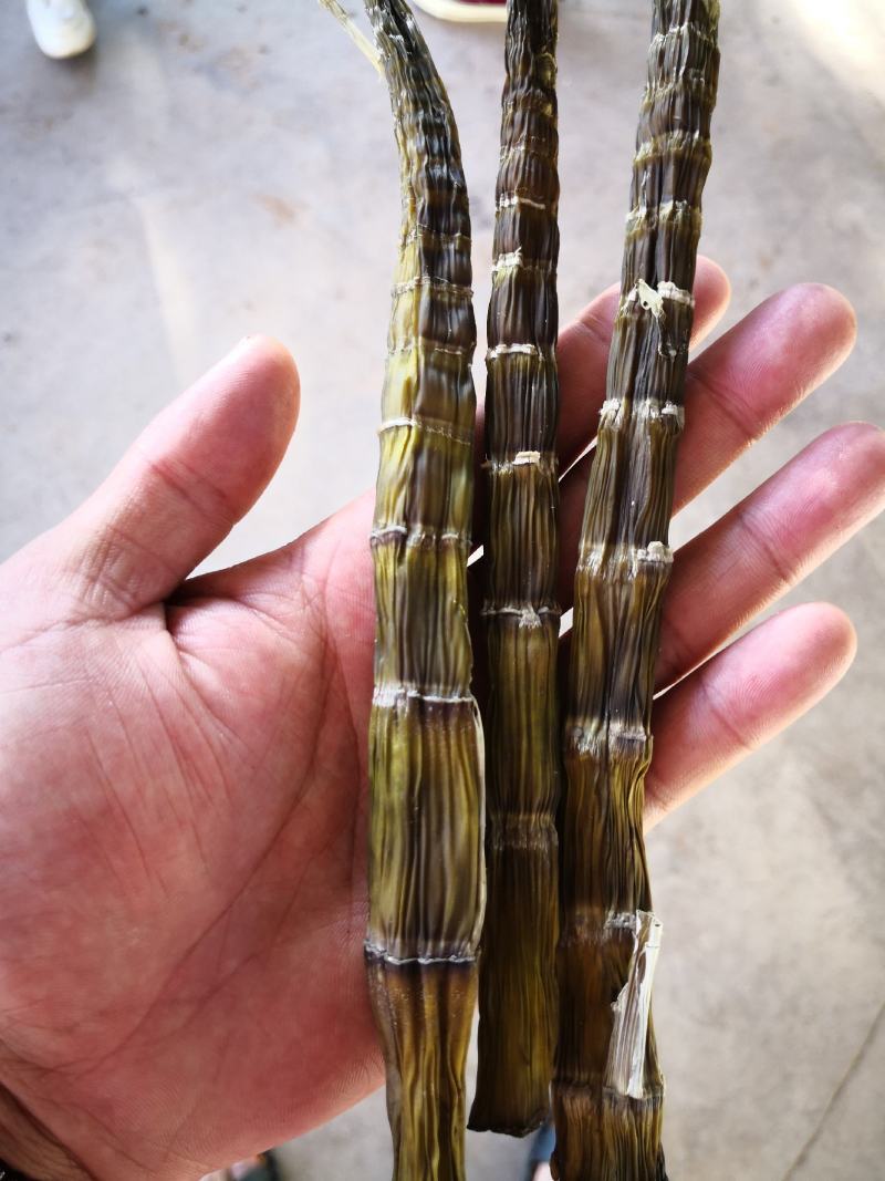 野生小竹笋笋干，刺竹笋笋干自然零添加水煮淡笋干