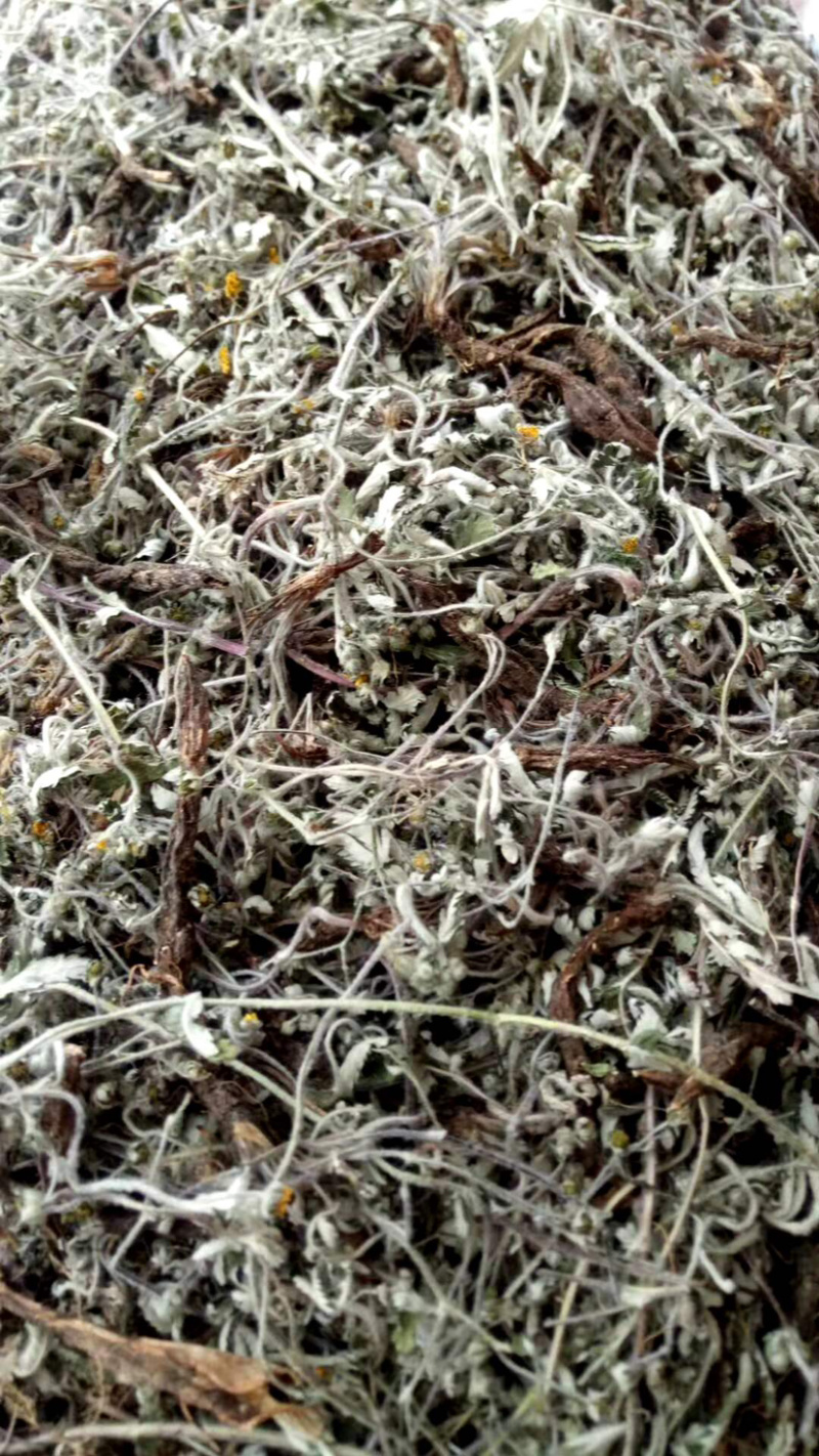 翻白草【包邮】三斤起发货可批量可零售量大从优