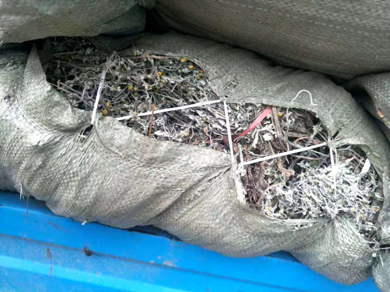 翻白草【包邮】三斤起发货可批量可零售量大从优