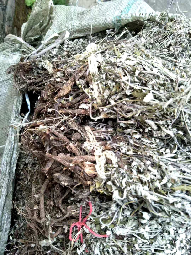 翻白草【包邮】三斤起发货可批量可零售量大从优