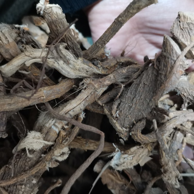 野生苦参块苦参段无硫新货手工切块天然健康
