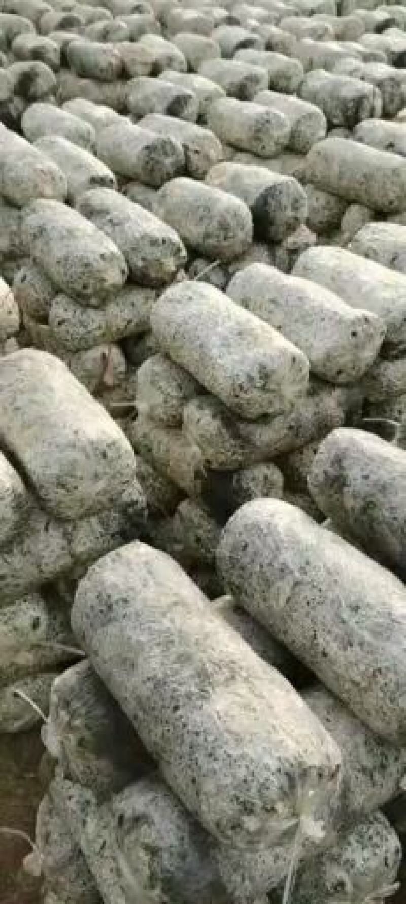 发酵料出菇菌包，现货供应，放心可靠的好产品