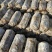 发酵料出菇菌包，现货供应，放心可靠的好产品