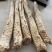 新鲜肉苁蓉阿拉善沙漠人参特级男性滋补泡酒料