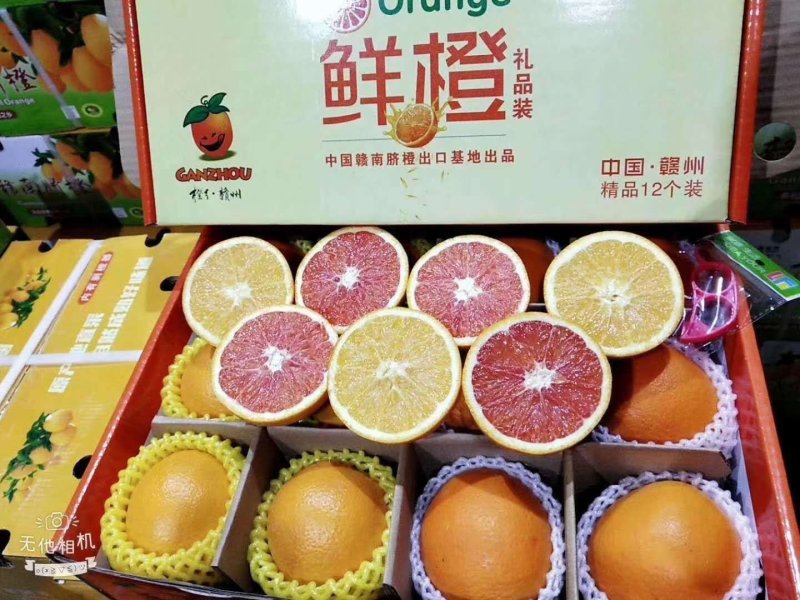 正宗赣南脐橙，火热销售中