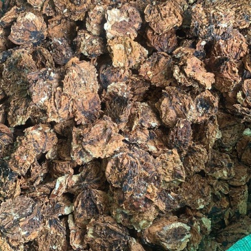 带壳压榨核桃油油枯可以用做肥料饲料家畜饲料