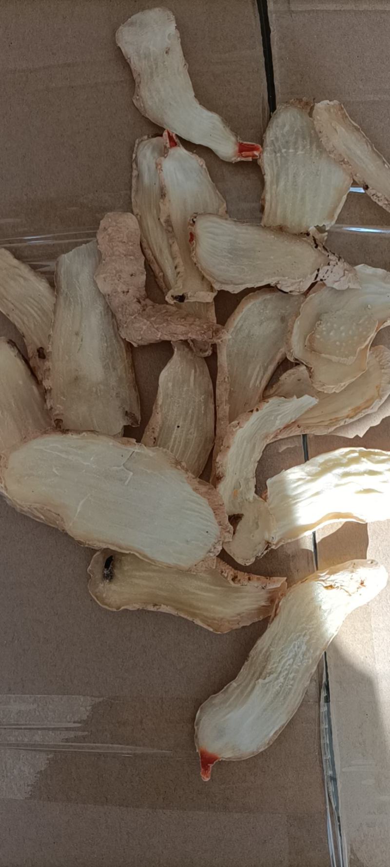 天麻自产自销量大从优