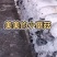 天宏食用菌优质黑平菇出售