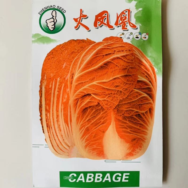 白菜种子，夏季耐热品种夏美，春满园品种