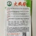 白菜种子，夏季耐热品种夏美，春满园品种