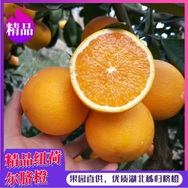 纽荷尔，长虹，自产自销，货源充足，无中间商