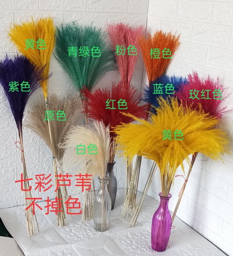 天然芦苇干花永生花束橱窗装饰摆件芦苇花拂尘花麦穗干花婚庆