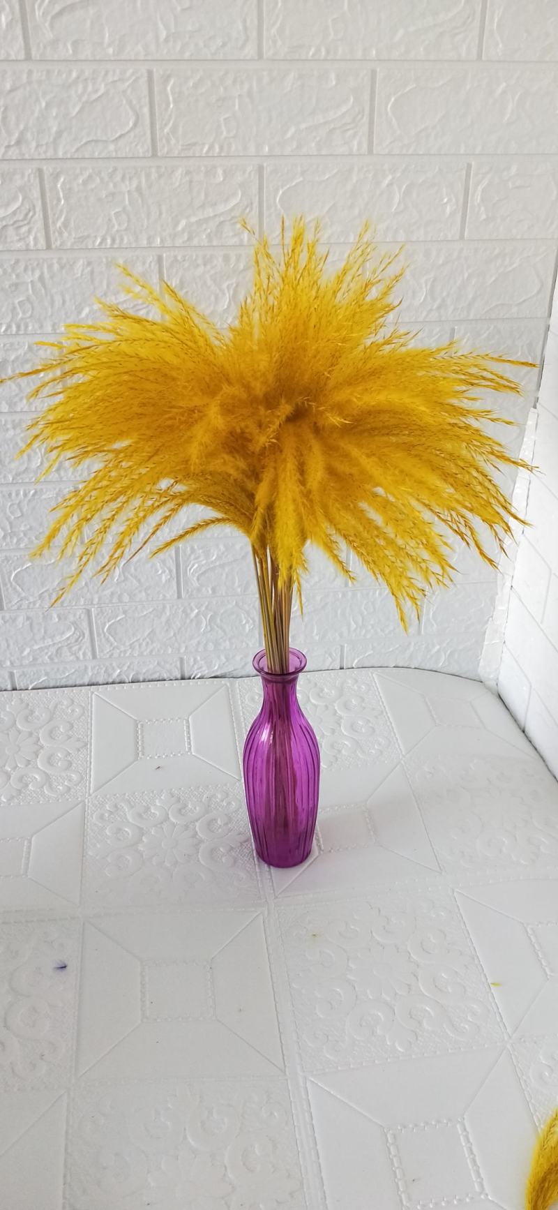 天然芦苇干花永生花束橱窗装饰摆件芦苇花拂尘花麦穗干花婚庆