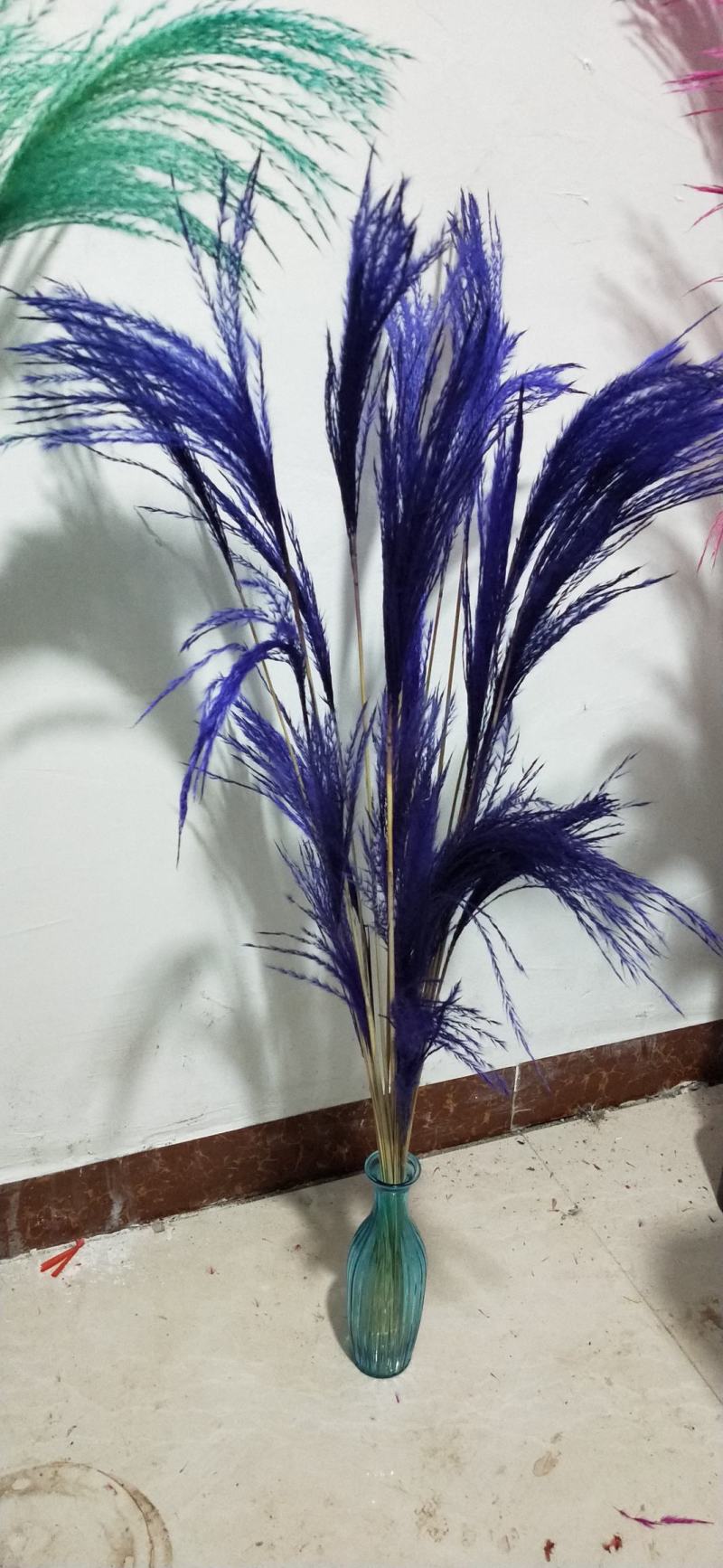 天然芦苇干花永生花束橱窗装饰摆件芦苇花拂尘花麦穗干花婚庆