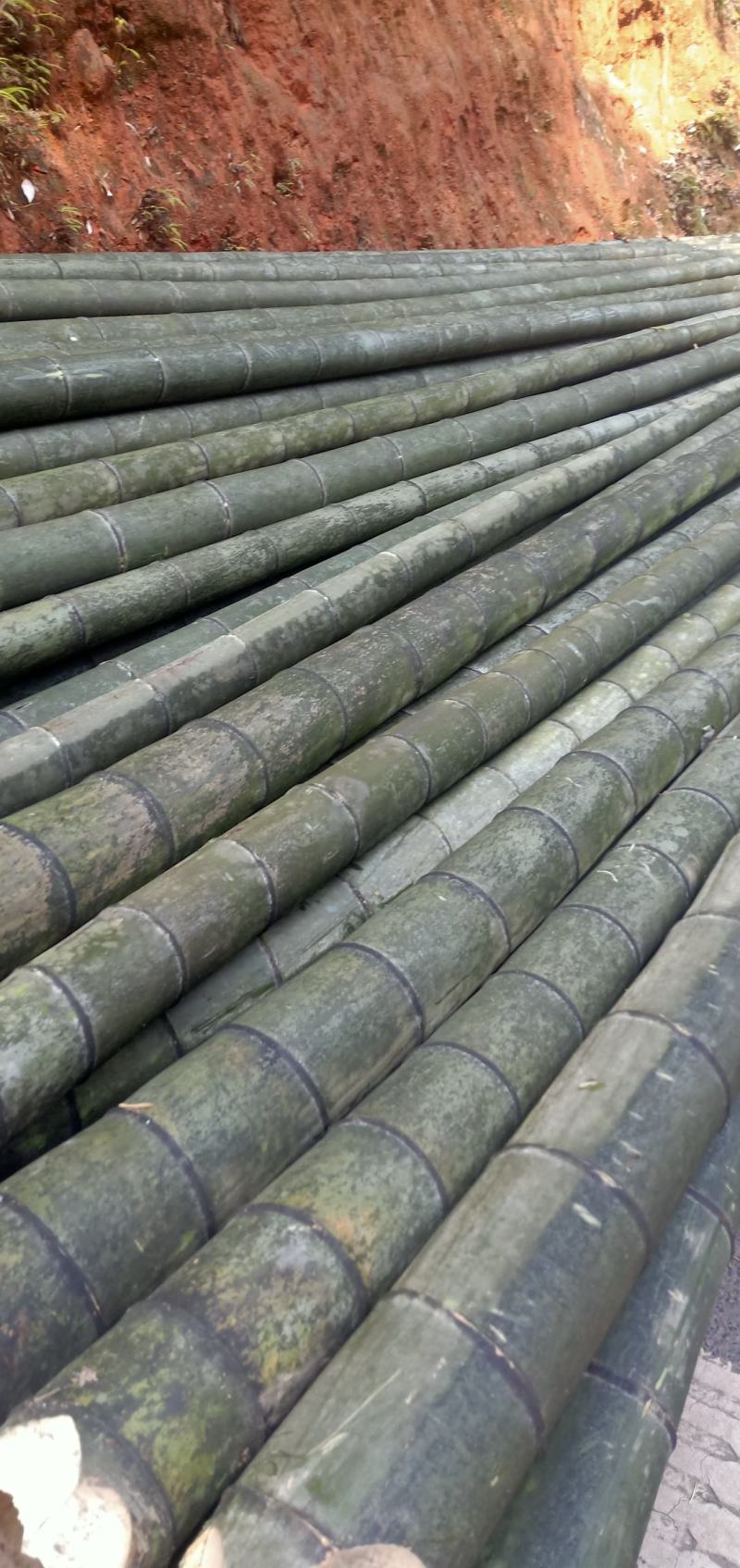 竹片，用于建拱棚，长度4米-7.5米，尾部宽4公分以上