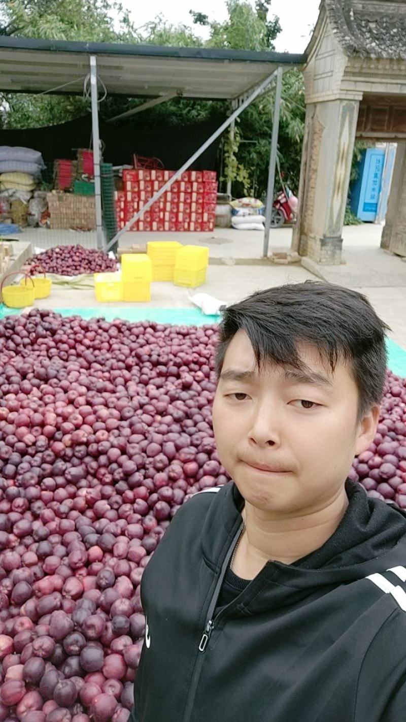 天水花牛商品果不是地头货都是库存价格不算高