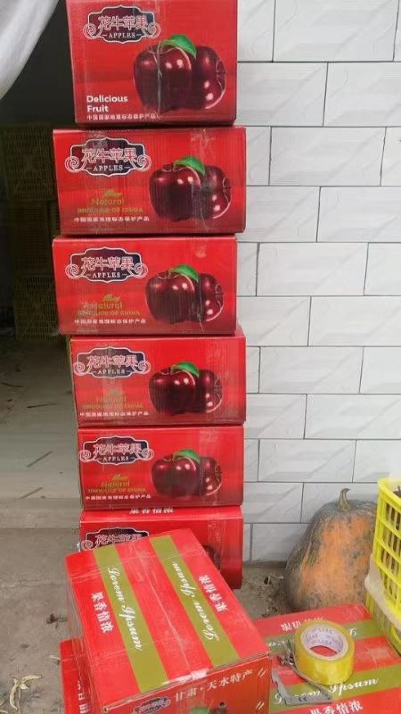 天水花牛商品果不是地头货都是库存价格不算高