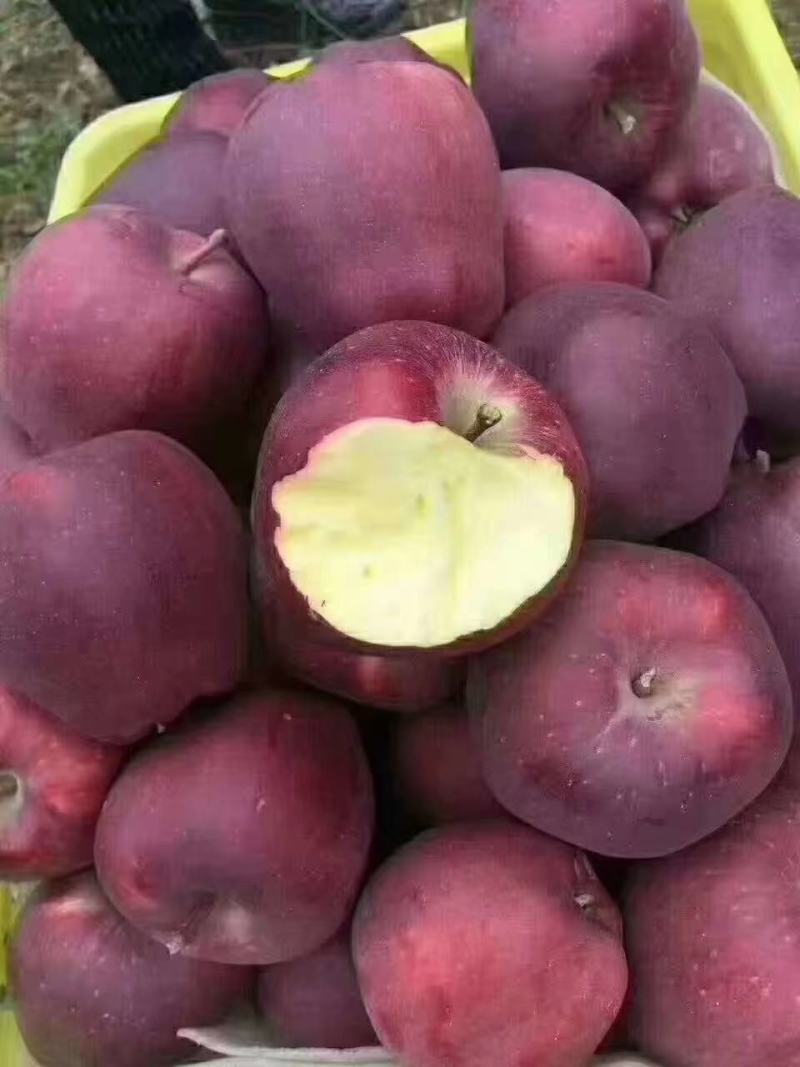 天水花牛商品果不是地头货都是库存价格不算高