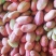 鲁花好8号红花生仁新鲜红皮欢迎新老顾客光临