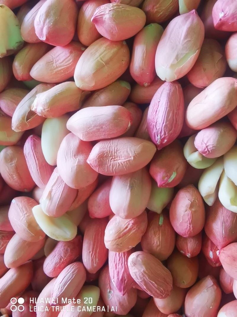 鲁花好8号红花生仁新鲜红皮欢迎新老顾客光临