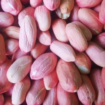 鲁花好8号红花生仁新鲜红皮欢迎新老顾客光临