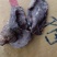 地扣，土豆蘑，杨树林里面出的，烘干货，整个，切开的都有