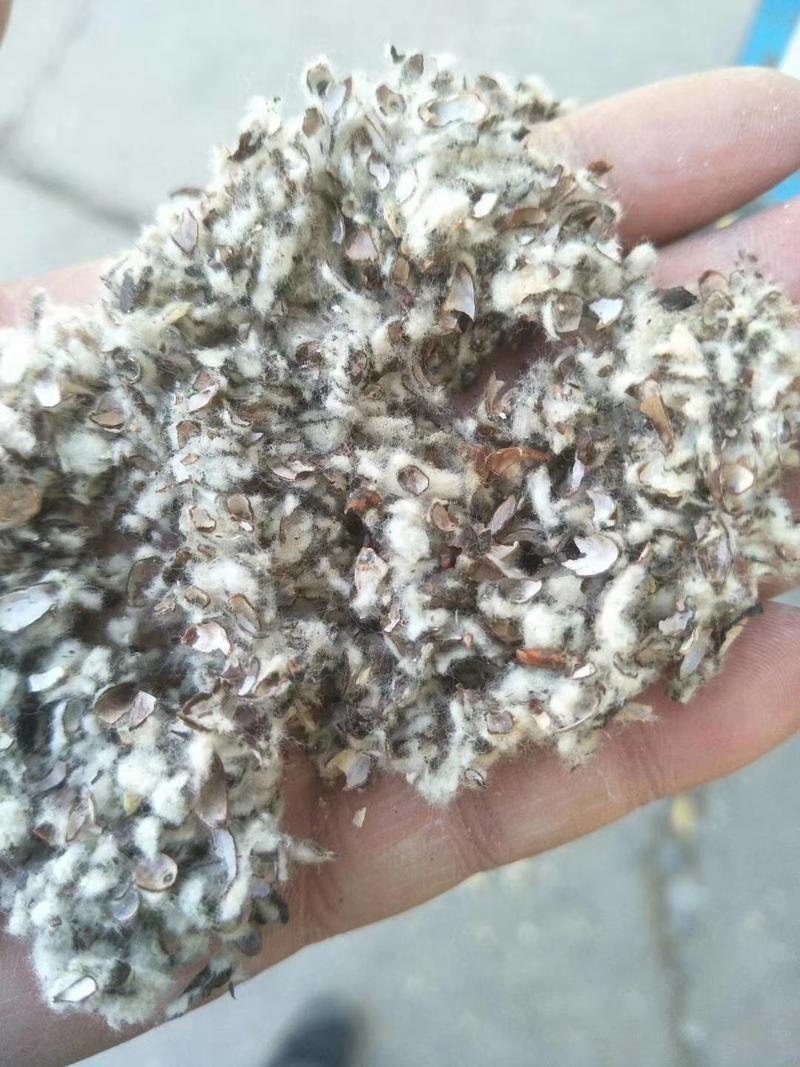 湖北武汉荆棉籽壳磨盘棉壳含粉棉壳，玉米芯颗粒压块棉渣木屑