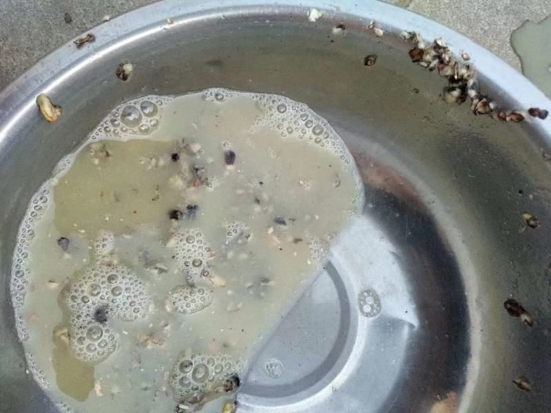 湖北武汉荆棉籽壳磨盘棉壳含粉棉壳，玉米芯颗粒压块棉渣木屑
