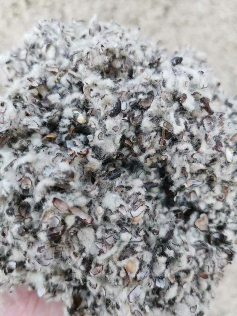 福建漳州福州棉籽壳玉米芯颗粒，木屑稻草牛粪次粉麸皮