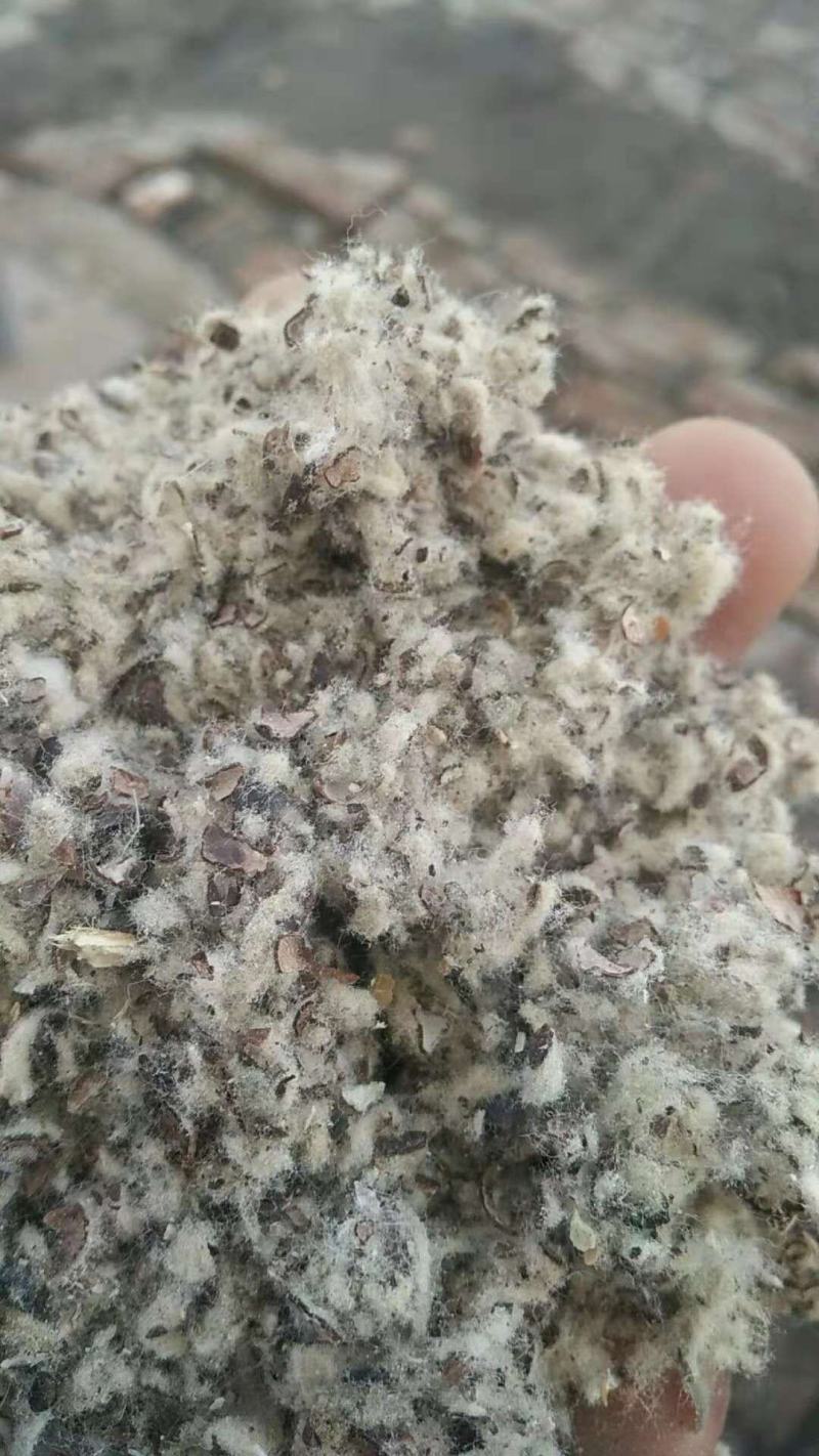 福建漳州福州棉籽壳玉米芯颗粒，木屑稻草牛粪次粉麸皮