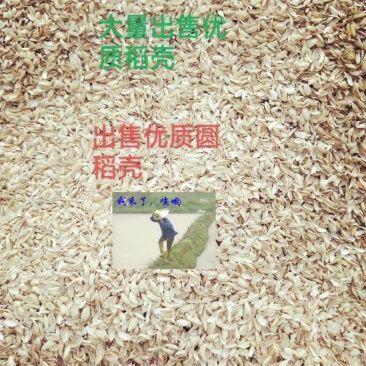 稻壳圆稻壳新稻壳散装稻壳都是你需要的好稻壳，放心购买