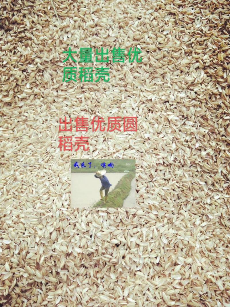 稻壳圆稻壳新稻壳散装稻壳都是你需要的好稻壳，放心购买