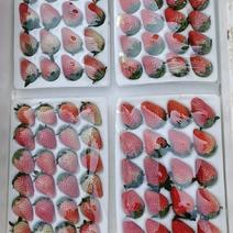 【量大价优】云南玉溪奶油草莓大量上市，基地直发、分检打包
