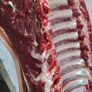 新鲜驴肉！马肉！颜色特别漂亮鲜现杀现宰纯干无注水