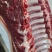 新鲜驴肉！马肉！颜色特别漂亮鲜现杀现宰纯干无注水