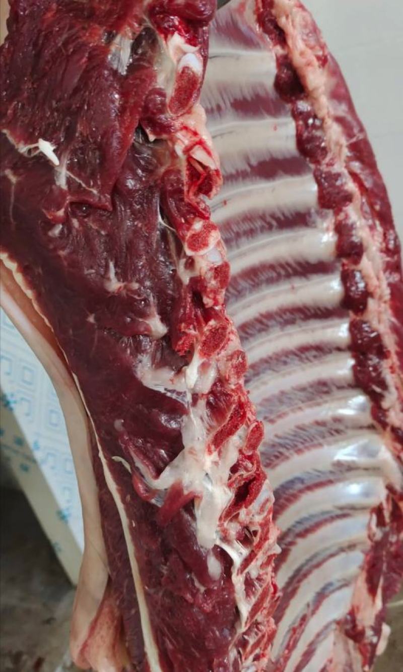 新鲜驴肉！马肉！颜色特别漂亮鲜现杀现宰纯干无注水