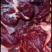 新鲜驴肉！马肉！颜色特别漂亮鲜现杀现宰纯干无注水